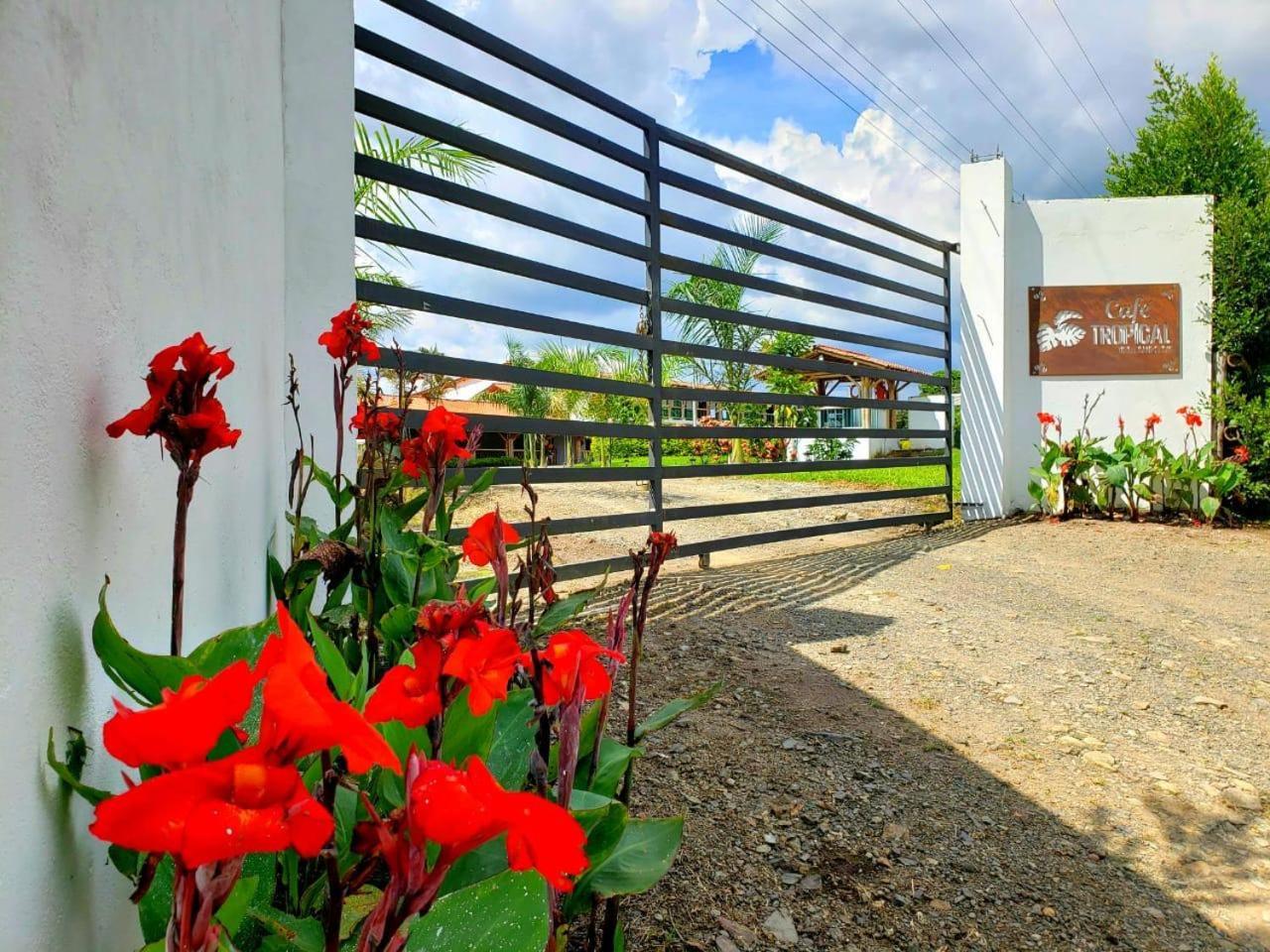 Hotel Campestre Cafe Tropical Кімбая Екстер'єр фото